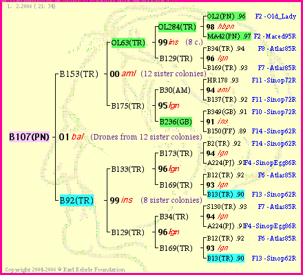 Pedigree of B107(PN) :
four generations presented