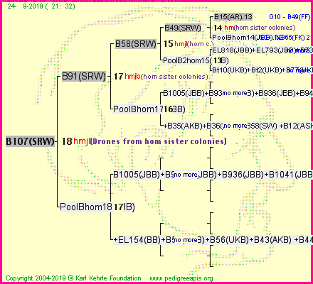 Pedigree of B107(SRW) :
four generations presented<br />it's temporarily unavailable, sorry!