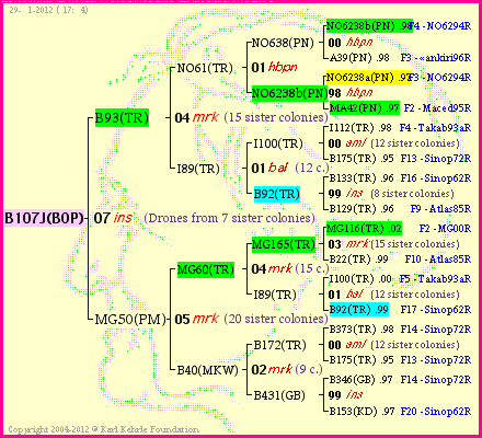 Pedigree of B107J(BOP) :
four generations presented