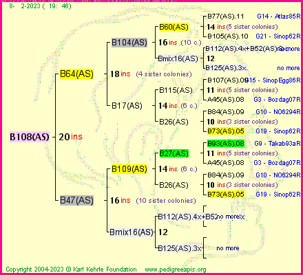 Pedigree of B108(AS) :
four generations presented
it's temporarily unavailable, sorry!