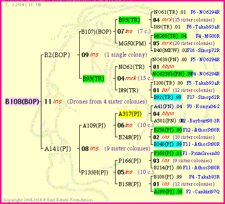 Pedigree of B108(BOP) :
four generations presented