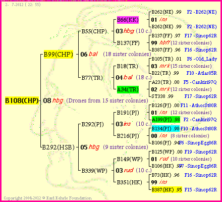 Pedigree of B108(CHP) :
four generations presented
it's temporarily unavailable, sorry!