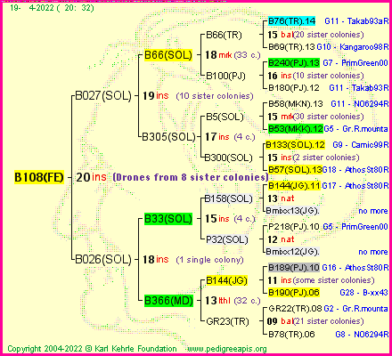 Pedigree of B108(FE) :
four generations presented
it's temporarily unavailable, sorry!