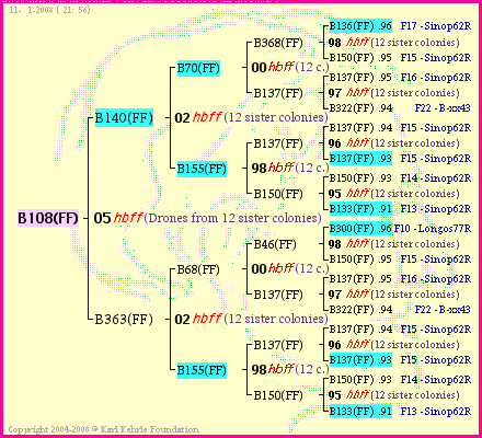 Pedigree of B108(FF) :
four generations presented