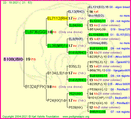 Pedigree of B108(JBH) :
four generations presented
it's temporarily unavailable, sorry!