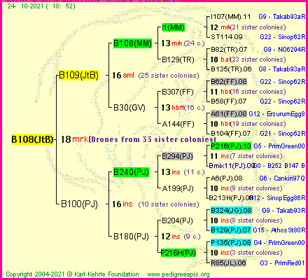 Pedigree of B108(JtB) :
four generations presented
it's temporarily unavailable, sorry!