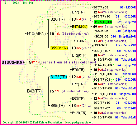 Pedigree of B108(MKN) :
four generations presented
it's temporarily unavailable, sorry!