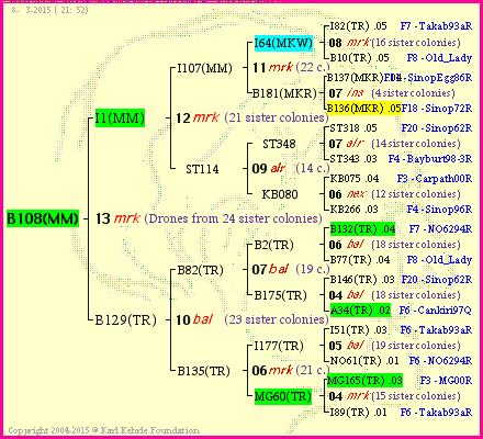 Pedigree of B108(MM) :
four generations presented
it's temporarily unavailable, sorry!