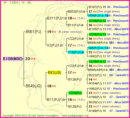 Pedigree of B108(NDE) :
four generations presented
it's temporarily unavailable, sorry!