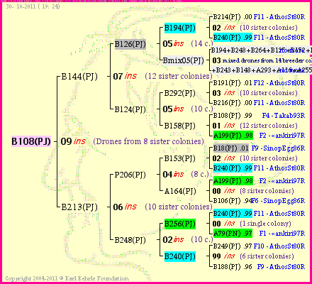 Pedigree of B108(PJ) :
four generations presented