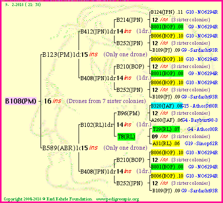 Pedigree of B108(PM) :
four generations presented