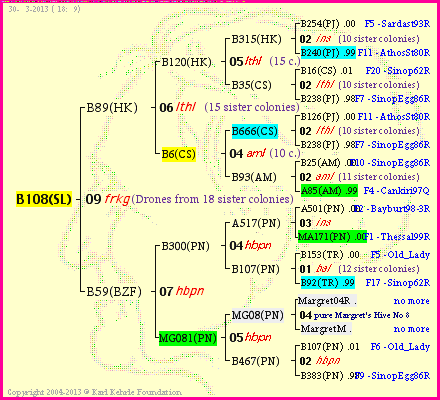 Pedigree of B108(SL) :
four generations presented