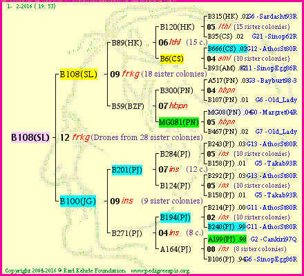 Pedigree of B108(SL) :
four generations presented