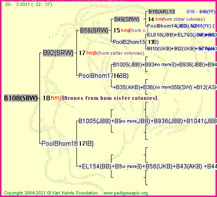 Pedigree of B108(SRW) :
four generations presented
it's temporarily unavailable, sorry!