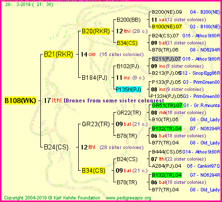 Pedigree of B108(WK) :
four generations presented
it's temporarily unavailable, sorry!