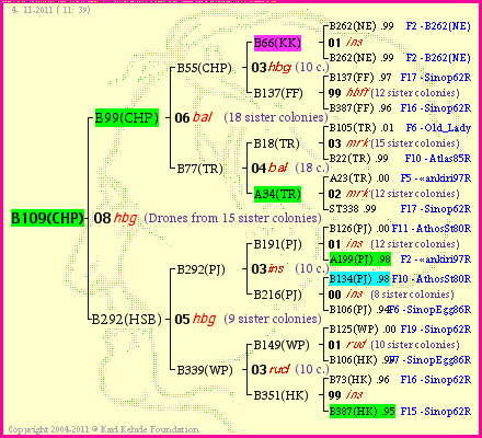 Pedigree of B109(CHP) :
four generations presented