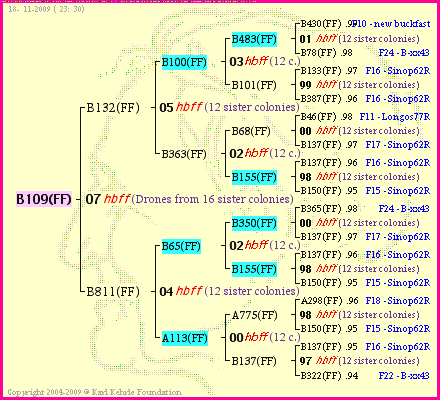 Pedigree of B109(FF) :
four generations presented