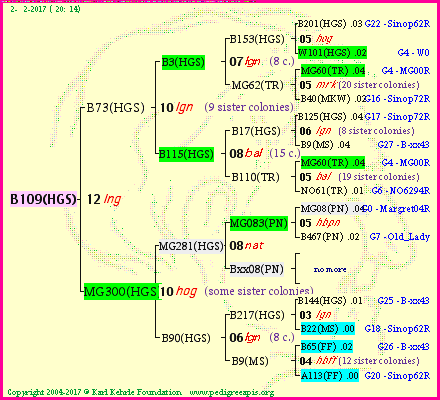 Pedigree of B109(HGS) :
four generations presented