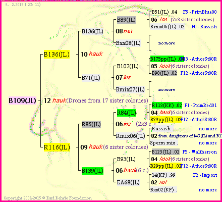 Pedigree of B109(JL) :
four generations presented