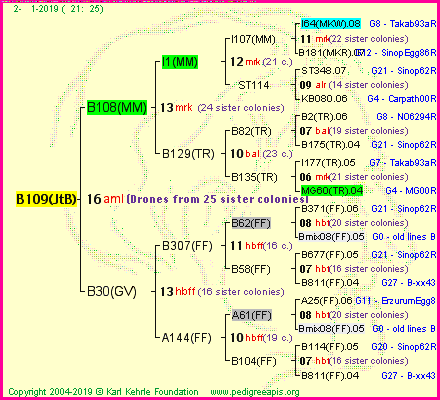 Pedigree of B109(JtB) :
four generations presented<br />it's temporarily unavailable, sorry!