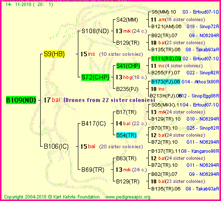 Pedigree of B109(ND) :
four generations presented<br />it's temporarily unavailable, sorry!