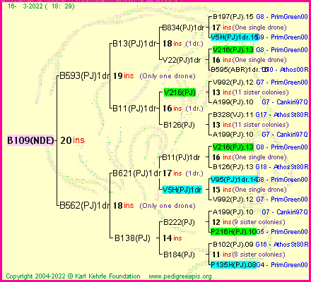 Pedigree of B109(NDE) :
four generations presented
it's temporarily unavailable, sorry!