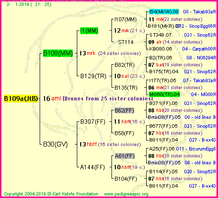 Pedigree of B109a(JtB) :
four generations presented<br />it's temporarily unavailable, sorry!