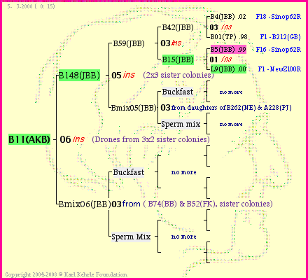 Pedigree of B11(AKB) :
four generations presented