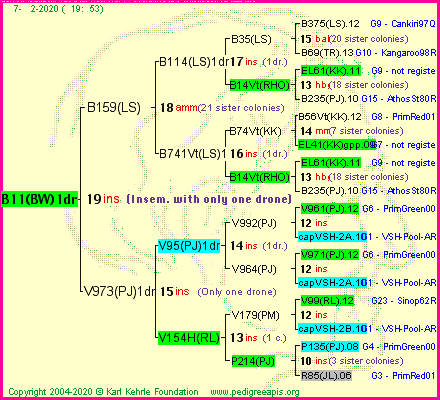 Pedigree of B11(BW)1dr :
four generations presented<br />it's temporarily unavailable, sorry!