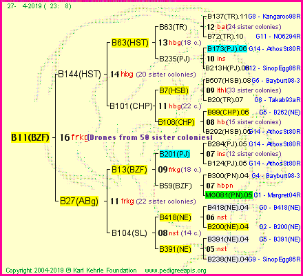 Pedigree of B11(BZF) :
four generations presented<br />it's temporarily unavailable, sorry!