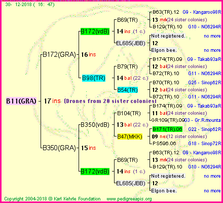 Pedigree of B11(GRA) :
four generations presented<br />it's temporarily unavailable, sorry!