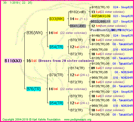 Pedigree of B11(KKI) :
four generations presented<br />it's temporarily unavailable, sorry!