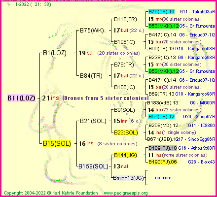 Pedigree of B11(LOZ) :
four generations presented
it's temporarily unavailable, sorry!