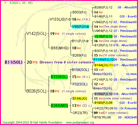 Pedigree of B11(SOL) :
four generations presented
it's temporarily unavailable, sorry!