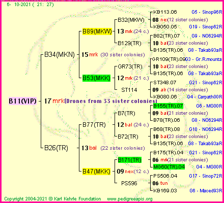 Pedigree of B11(VIP) :
four generations presented
it's temporarily unavailable, sorry!