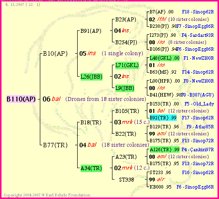 Pedigree of B110(AP) :
four generations presented