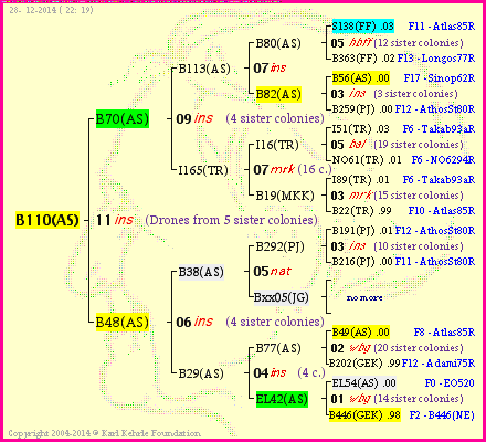 Pedigree of B110(AS) :
four generations presented