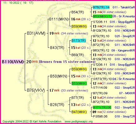 Pedigree of B110(AVM) :
four generations presented
it's temporarily unavailable, sorry!