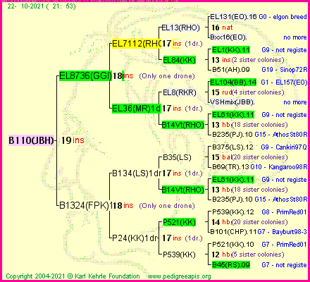 Pedigree of B110(JBH) :
four generations presented
it's temporarily unavailable, sorry!