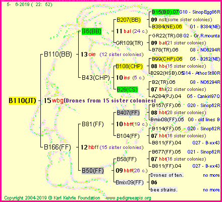 Pedigree of B110(JT) :
four generations presented<br />it's temporarily unavailable, sorry!