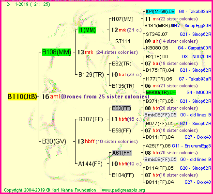 Pedigree of B110(JtB) :
four generations presented<br />it's temporarily unavailable, sorry!