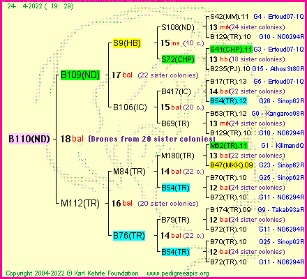 Pedigree of B110(ND) :
four generations presented
it's temporarily unavailable, sorry!