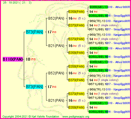 Pedigree of B110(PAN) :
four generations presented
it's temporarily unavailable, sorry!