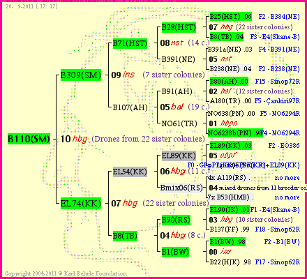 Pedigree of B110(SM) :
four generations presented