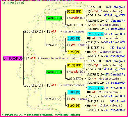 Pedigree of B110(SPD) :
four generations presented