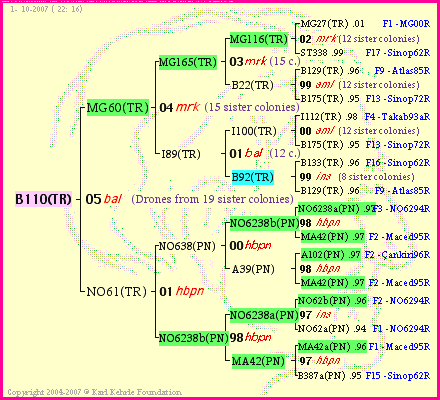 Pedigree of B110(TR) :
four generations presented<br />it's temporarily unavailable, sorry!
