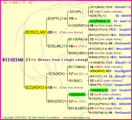 Pedigree of B111(CLM) :
four generations presented
it's temporarily unavailable, sorry!