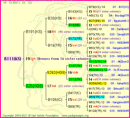 Pedigree of B111(KS) :
four generations presented
it's temporarily unavailable, sorry!