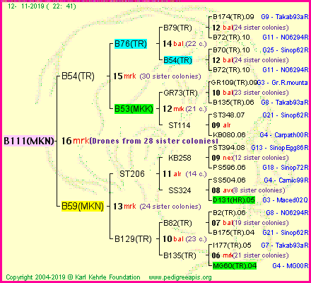 Pedigree of B111(MKN) :
four generations presented<br />it's temporarily unavailable, sorry!