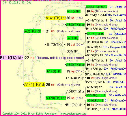 Pedigree of B111(TK)1dr :
four generations presented
it's temporarily unavailable, sorry!